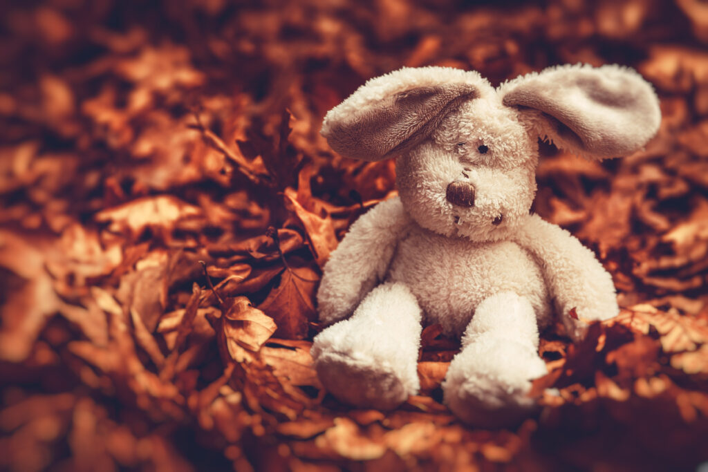 Stuffed bunny rabbit sitting in leaves - child sexual abuse attorney